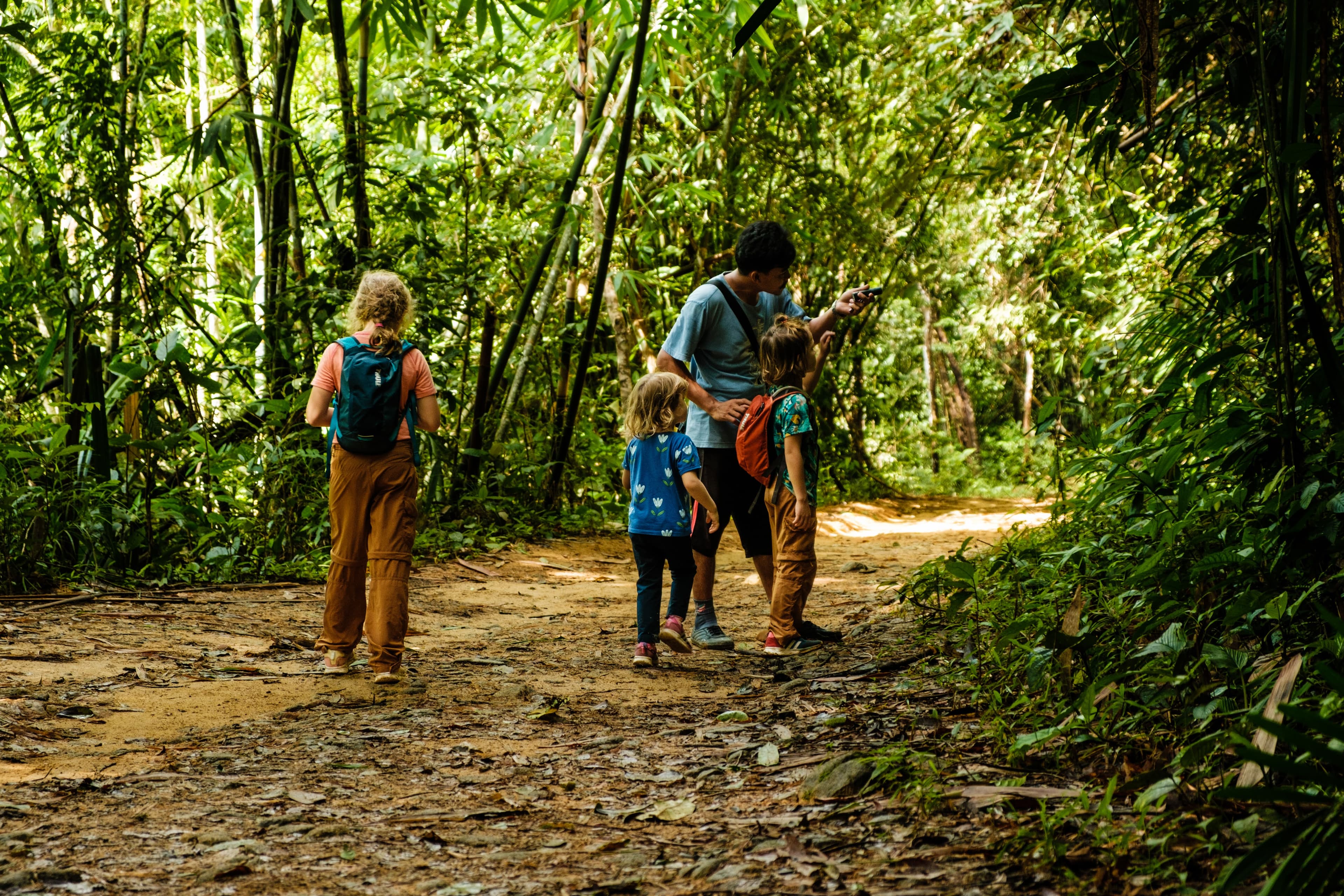 kids learning in the jungle