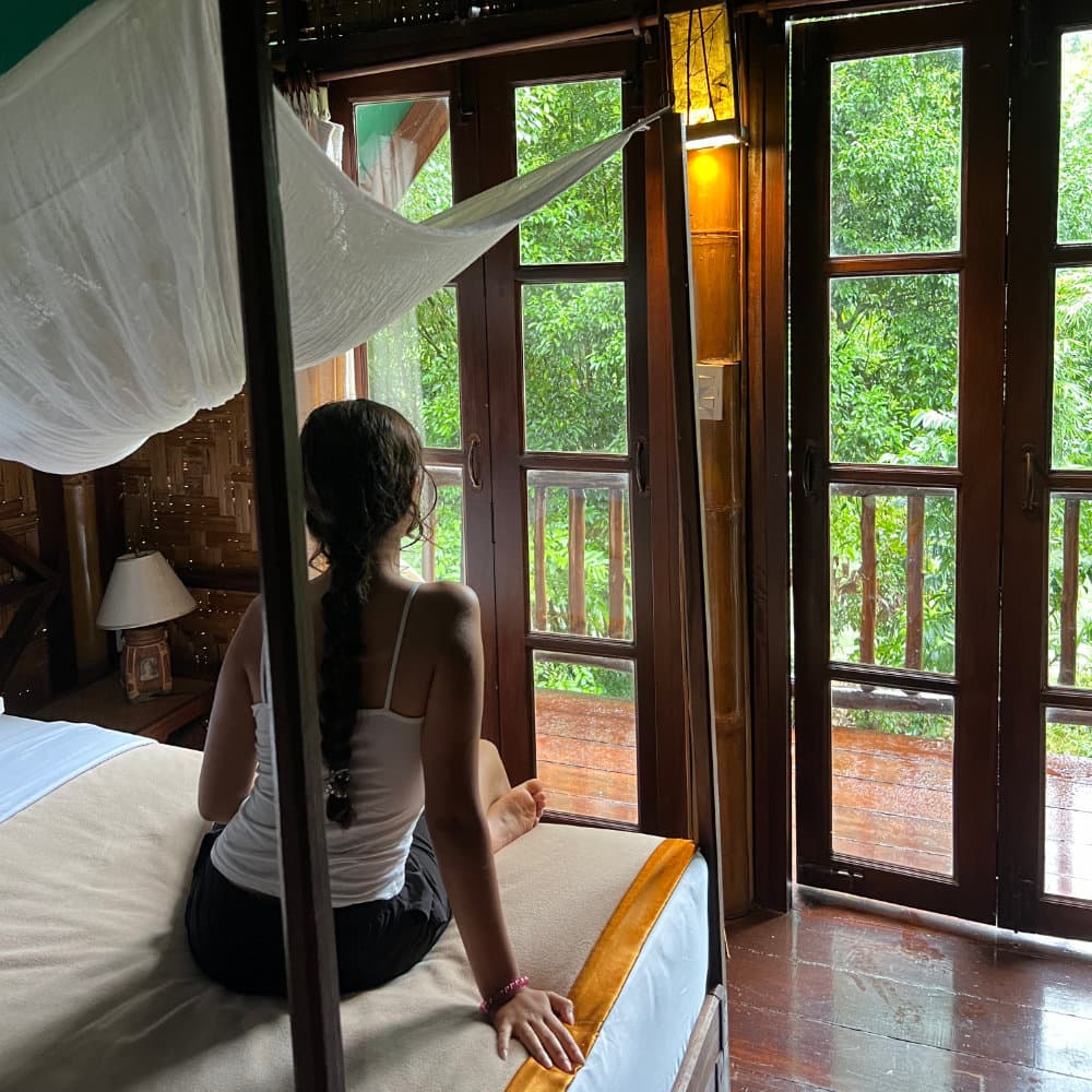 View from inside a treehouse at Our Jungle House