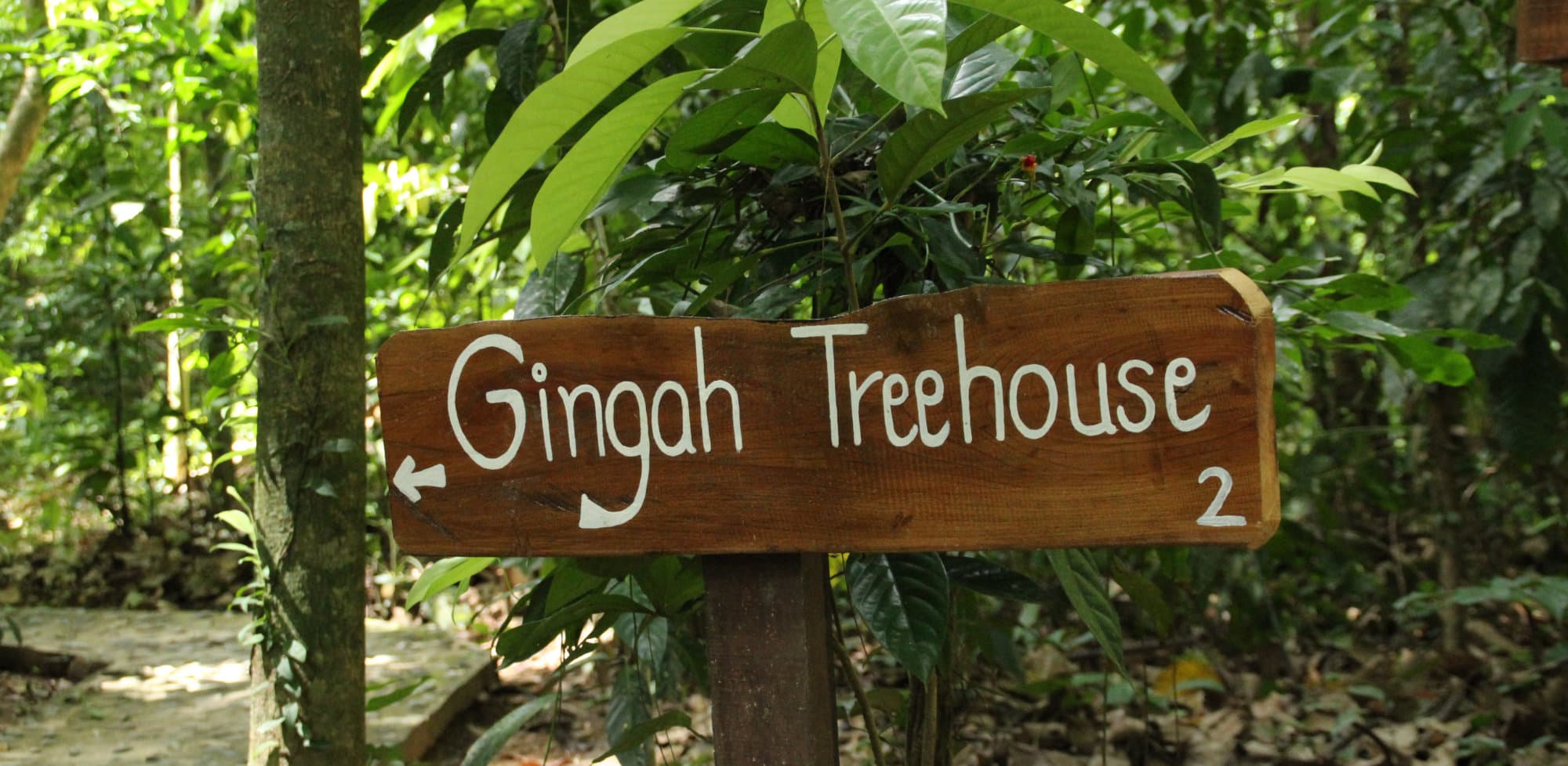 Trails to rooms at Our Jungle House