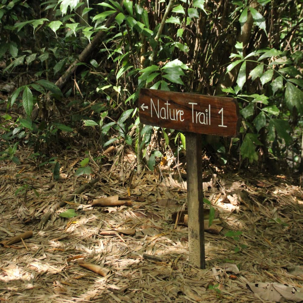 Nature trails around Our Jungle House resort