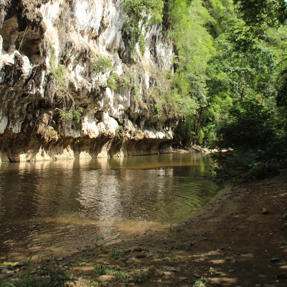 Nature trails around Our Jungle House resort