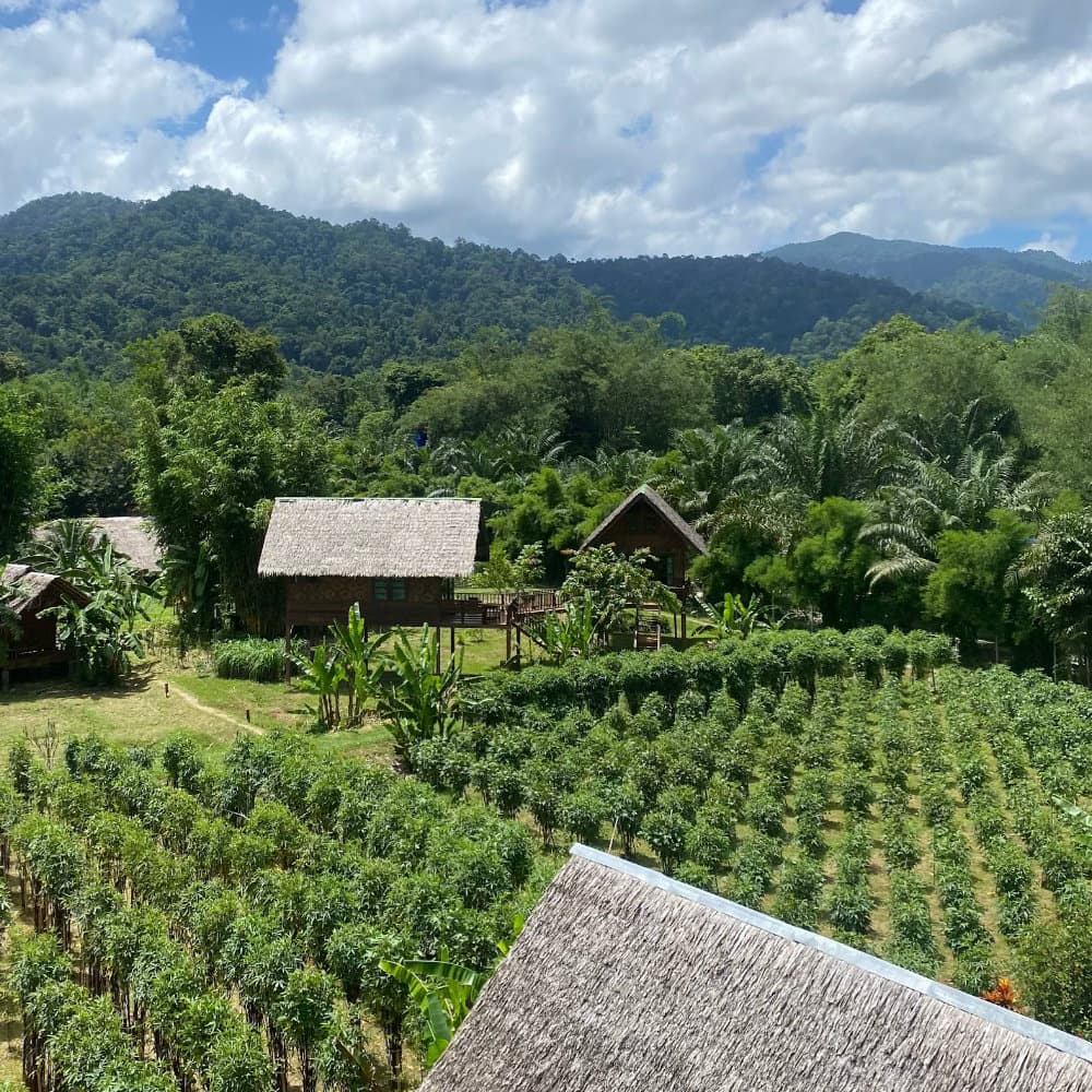 View of the farm at Our Jungle Resorts