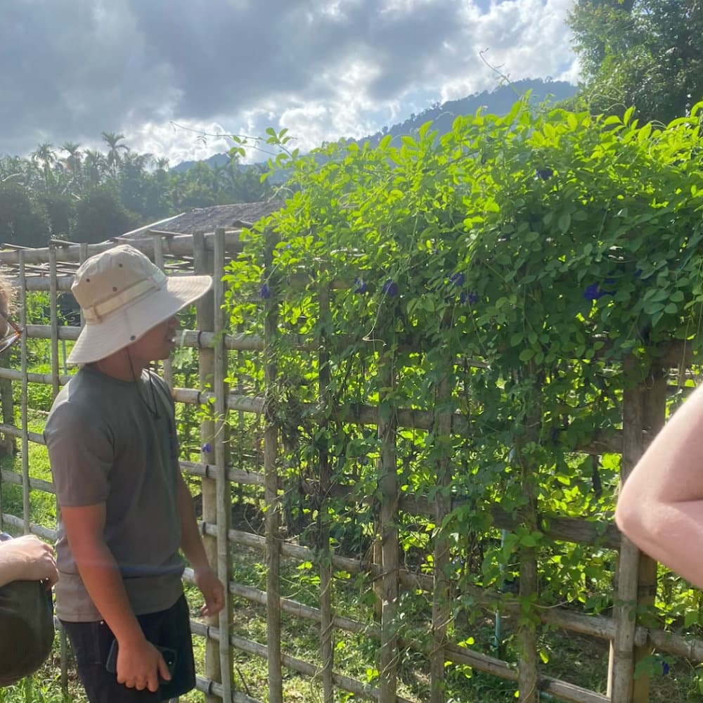 Organic farming supplies the kitchens