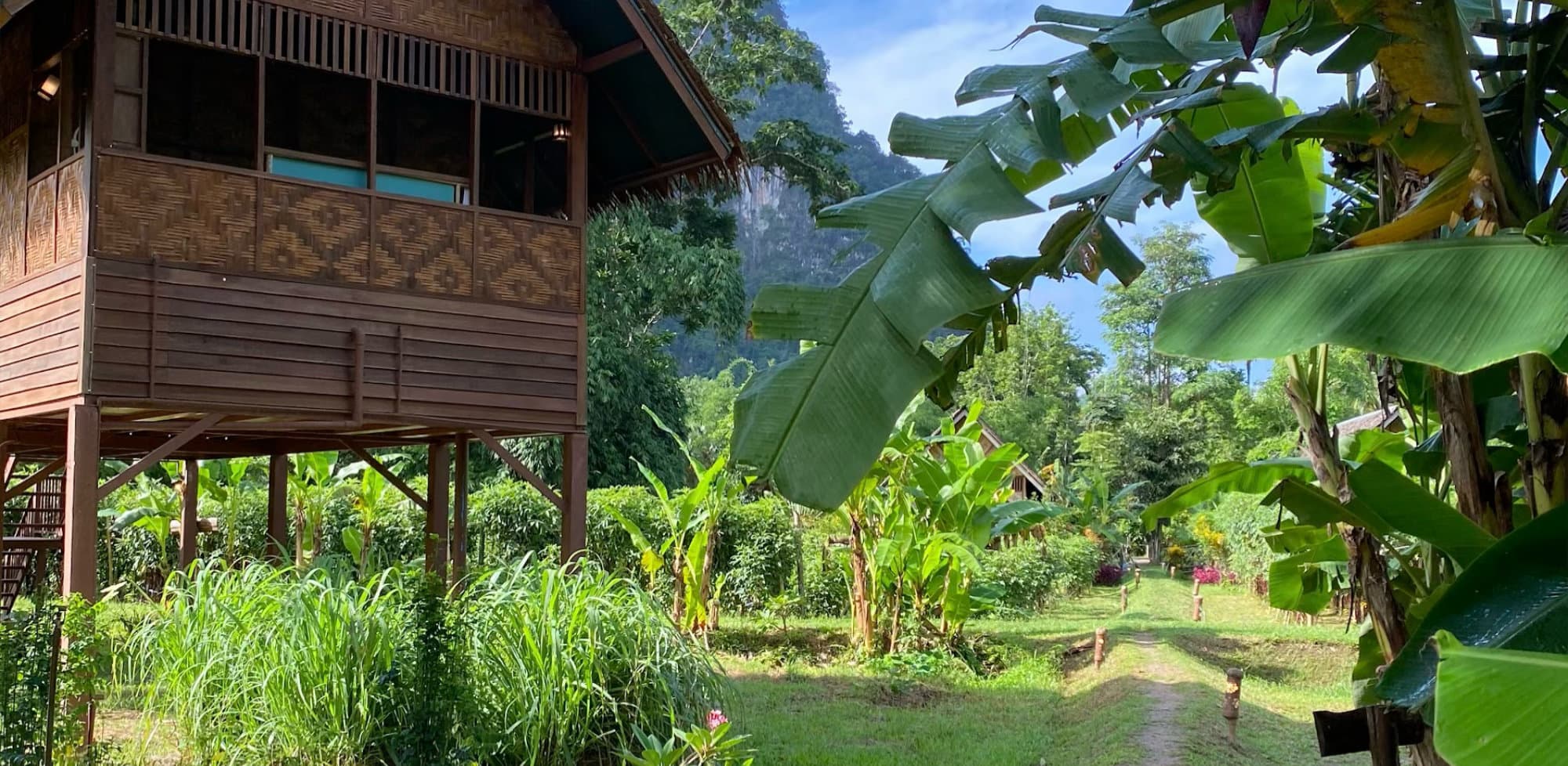 Curated gardens around Our Jungle Camp