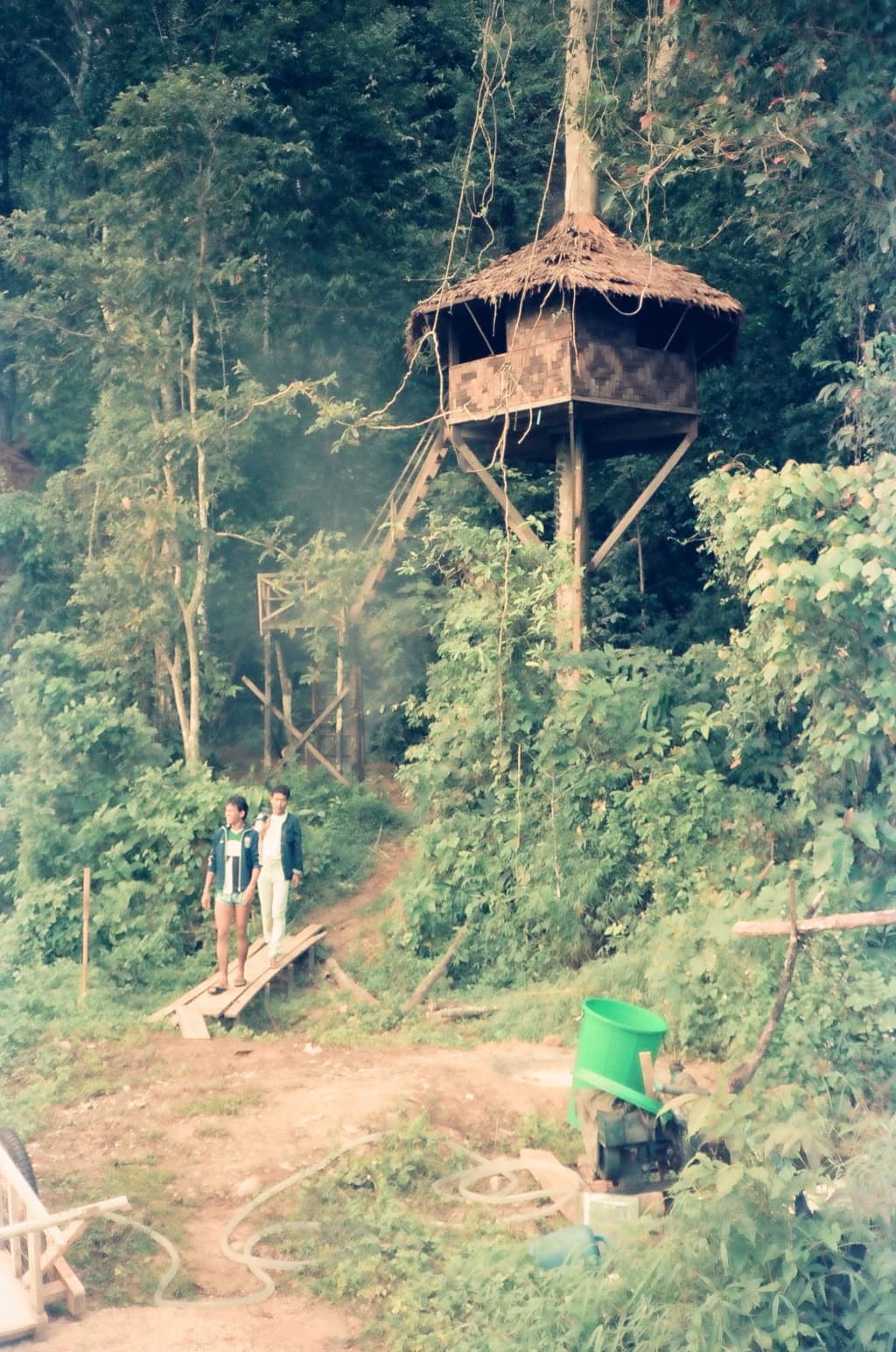 Old treehouse in khao sok