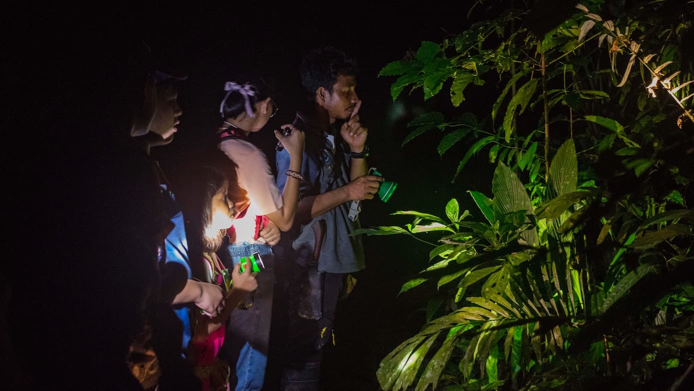 Night safari through the rainforest in Khao Sok National Park
