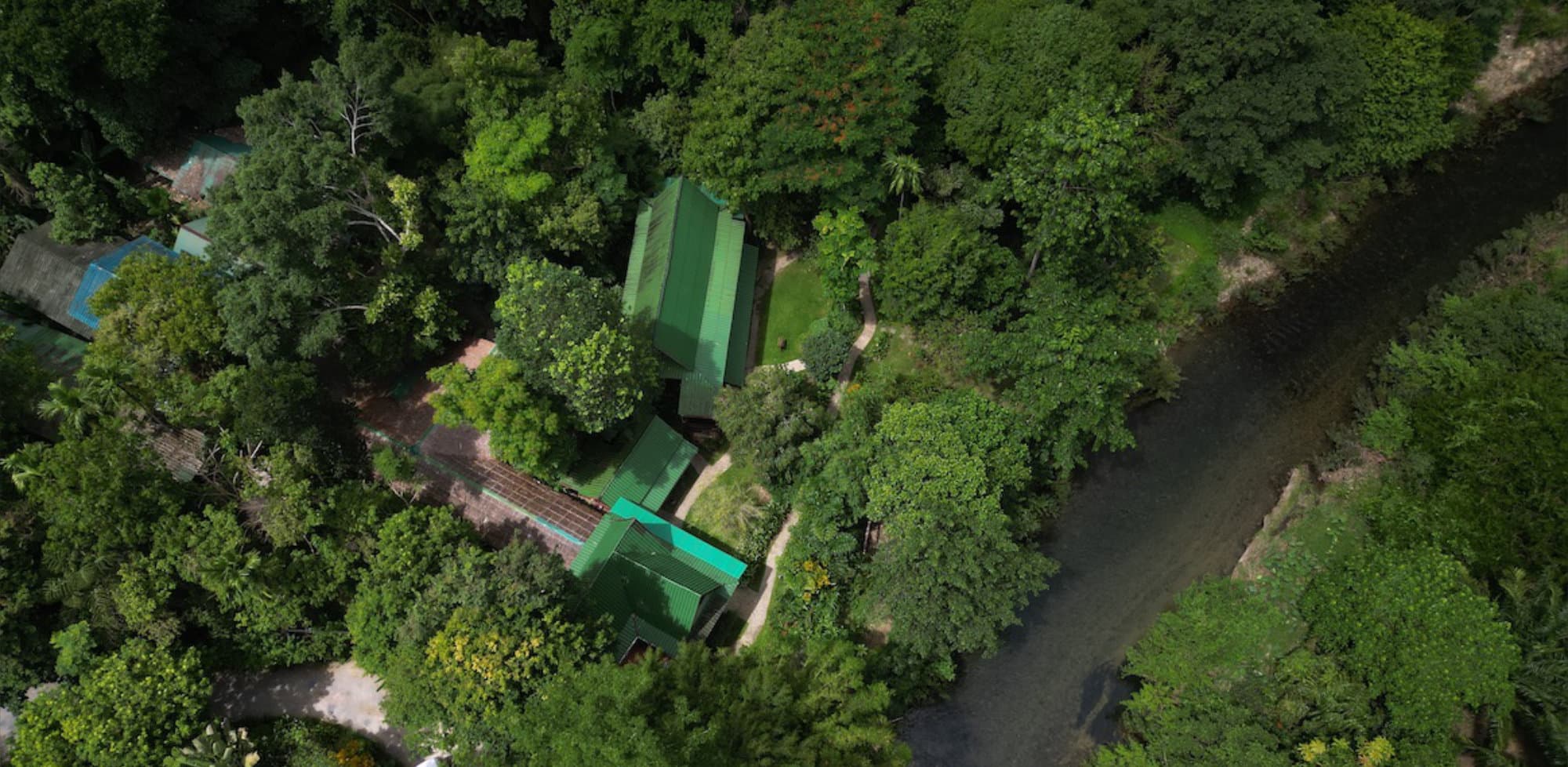 Drone view of Our Jungle House surrounded by jungle