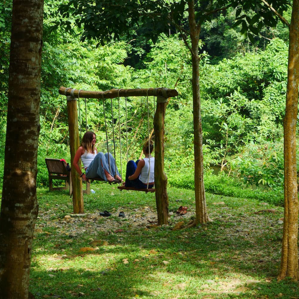 People sitting in a swing in the jungle