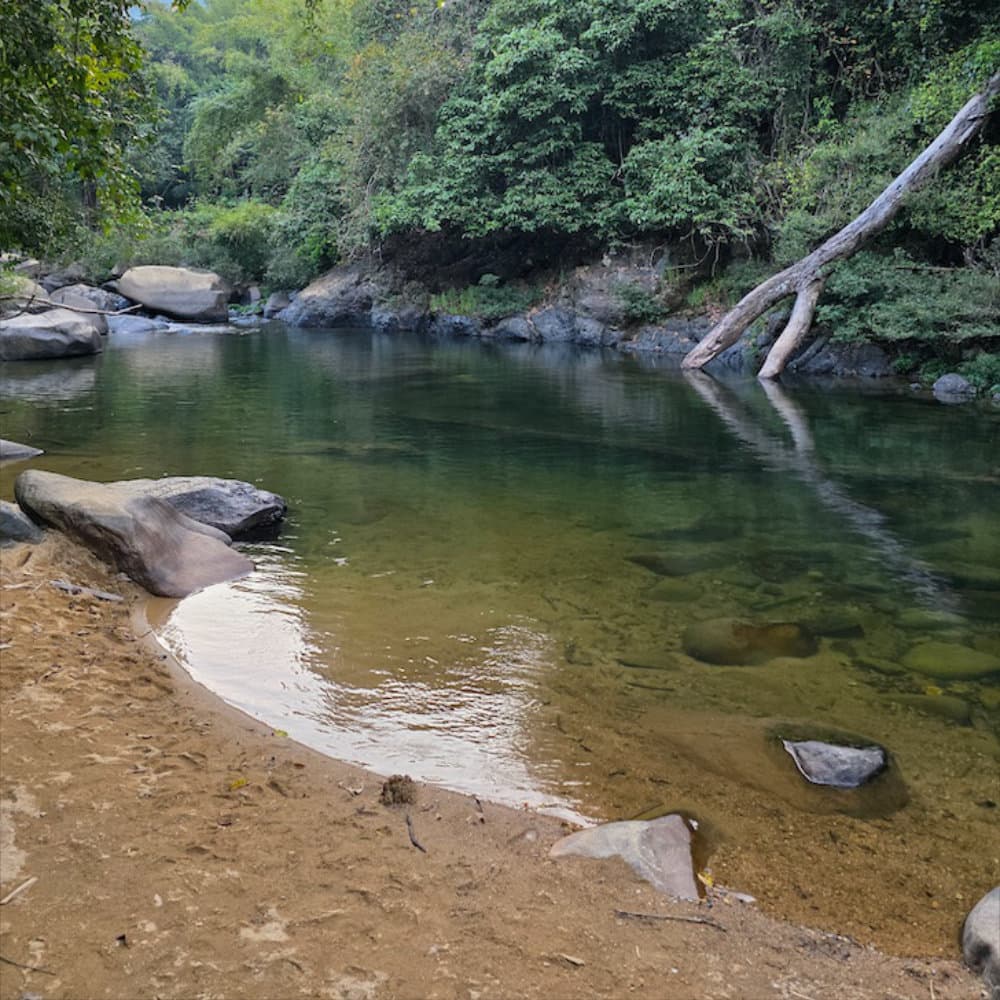 Scenes from Khao Sok river