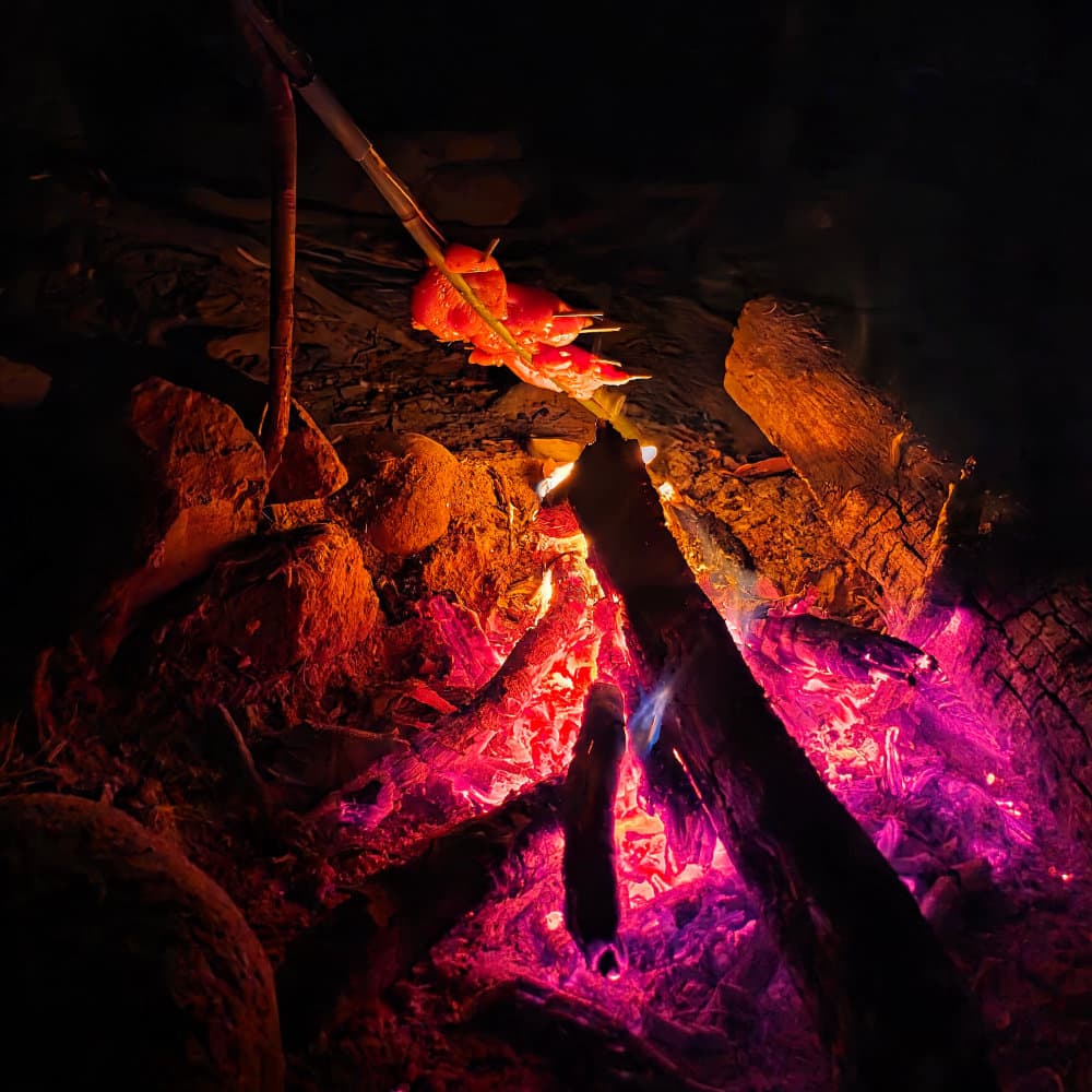 Bamboo cooking over an open camp fire