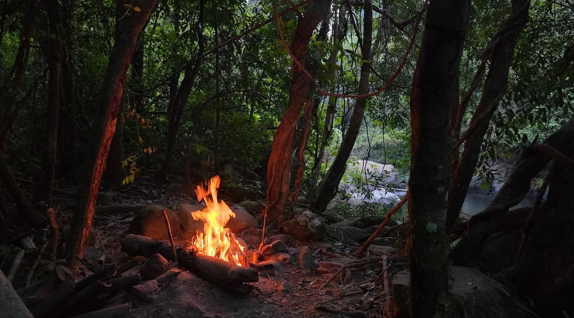 Campfire in the jungle