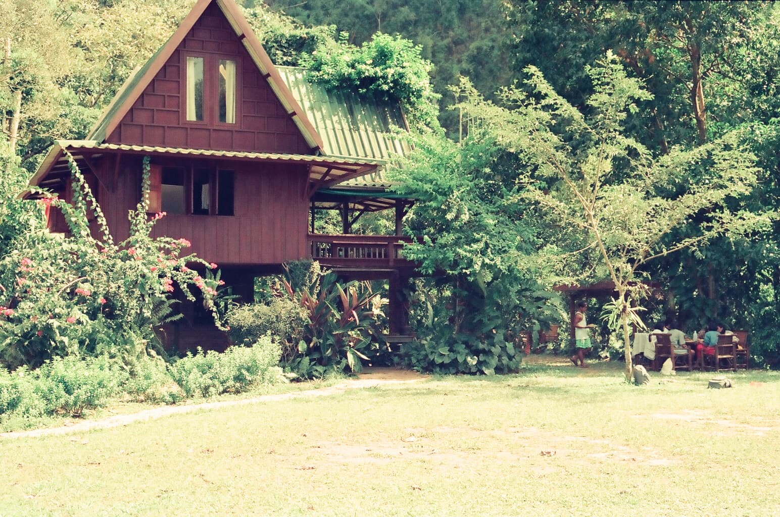 Old treehouse in khao sok