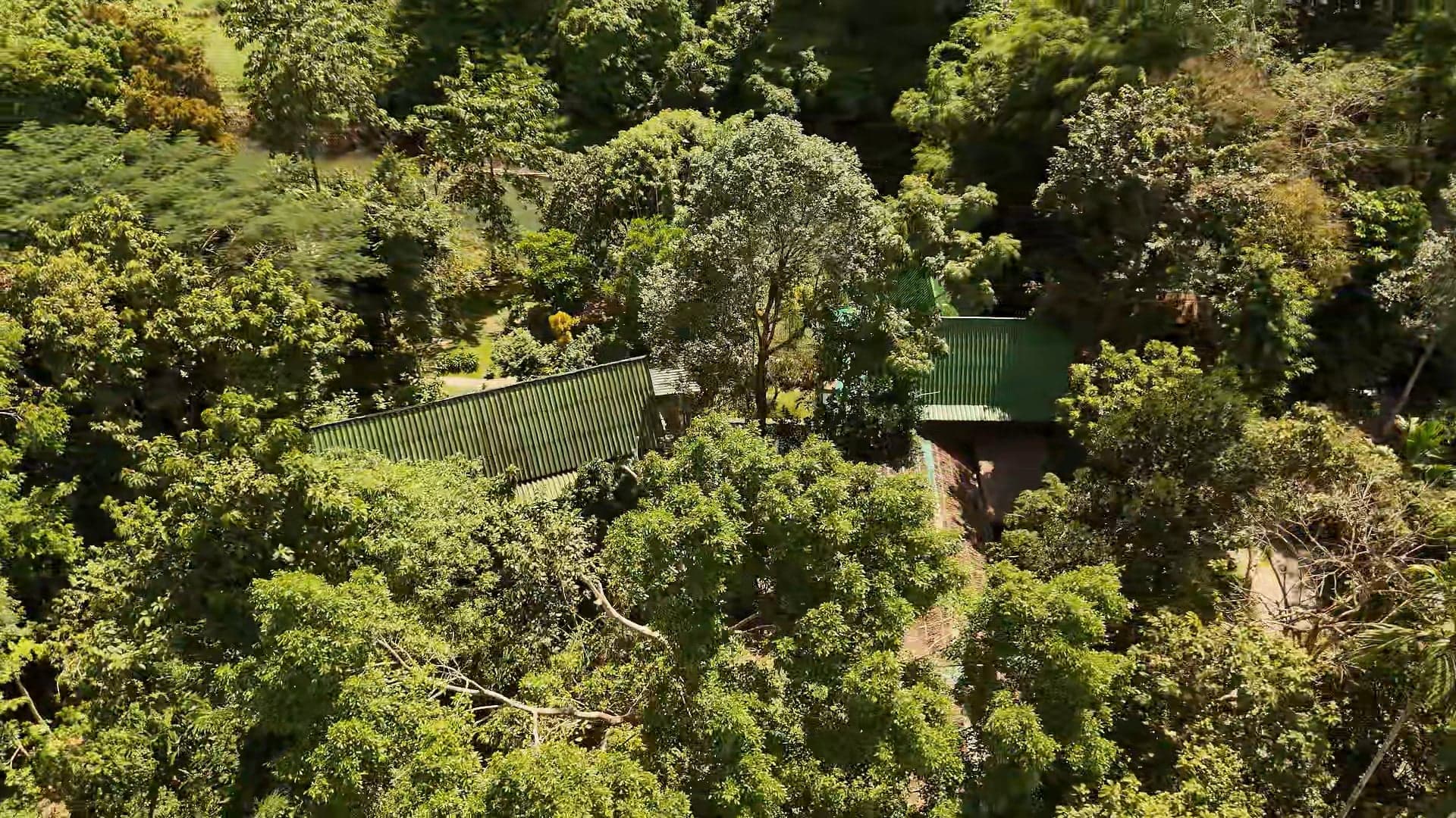 Tours and excursions video of Khao Sok National Park