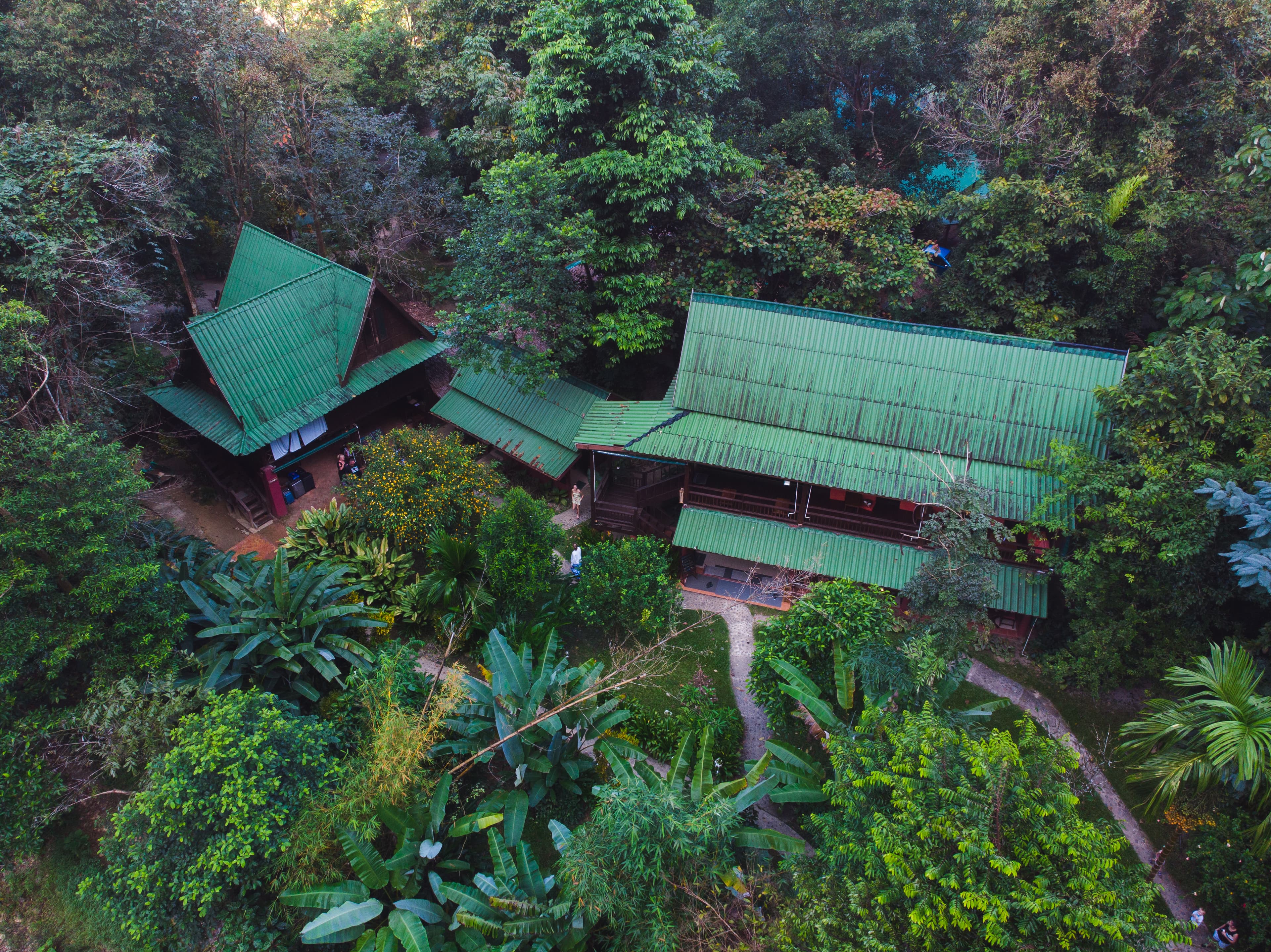 Surrounding areas of Our Jungle House