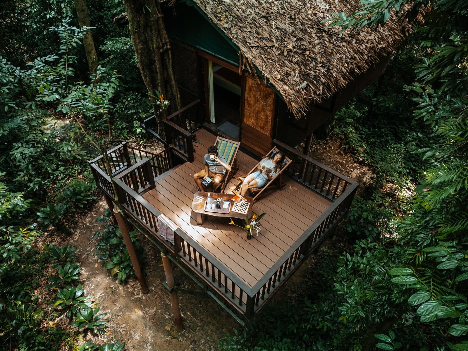 Forest treehouse exterior