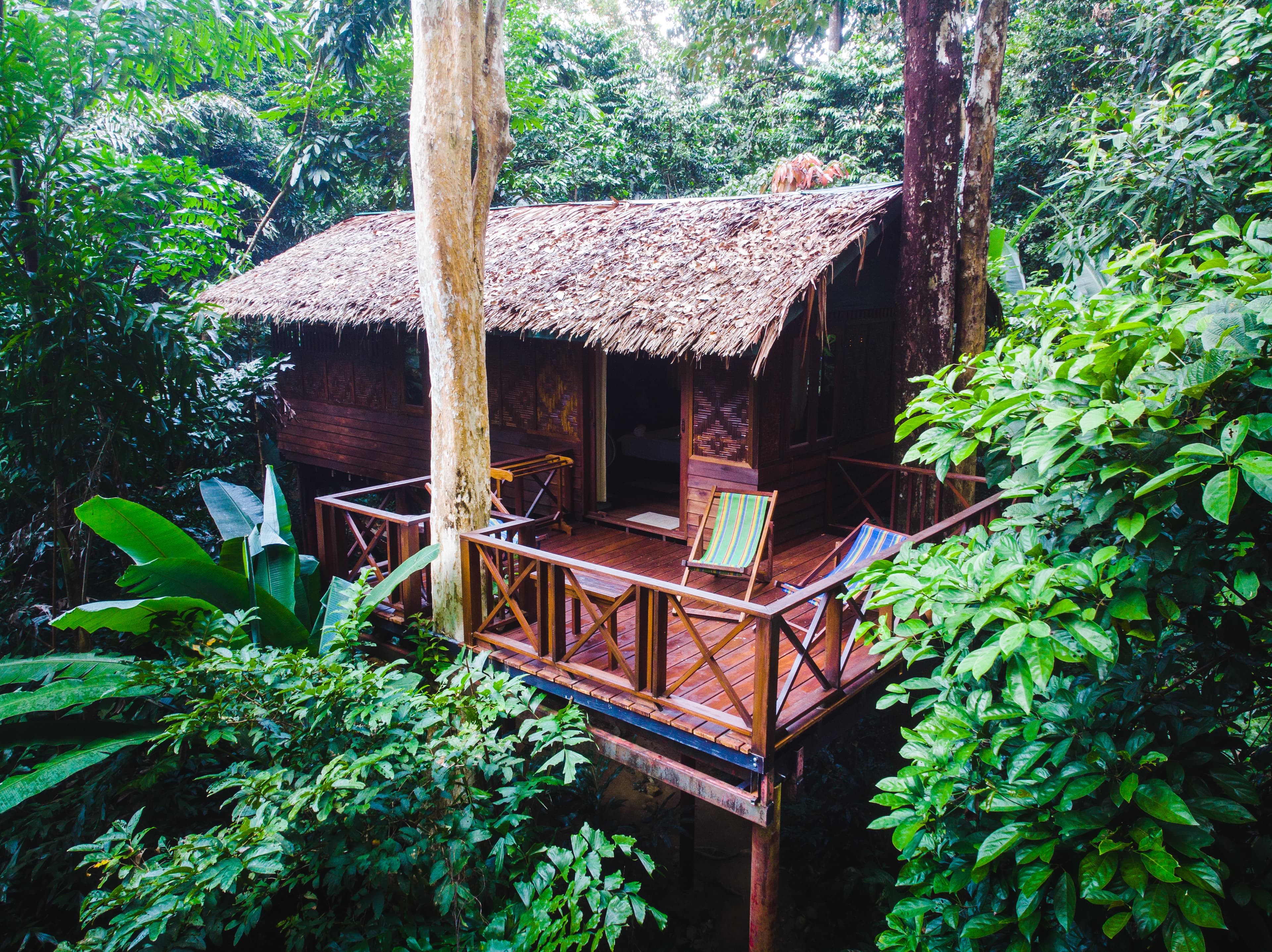 Half Moon Tree House Exterior View