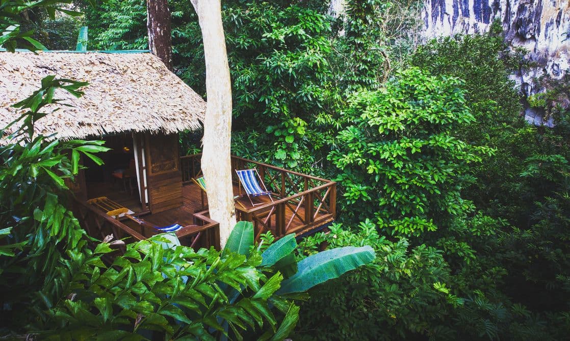 Our Jungle House Tree House Khao Sok