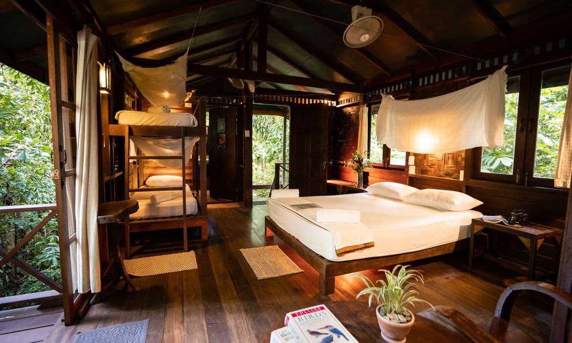 Interior Tree House Our Jungle House Half Moon tree House