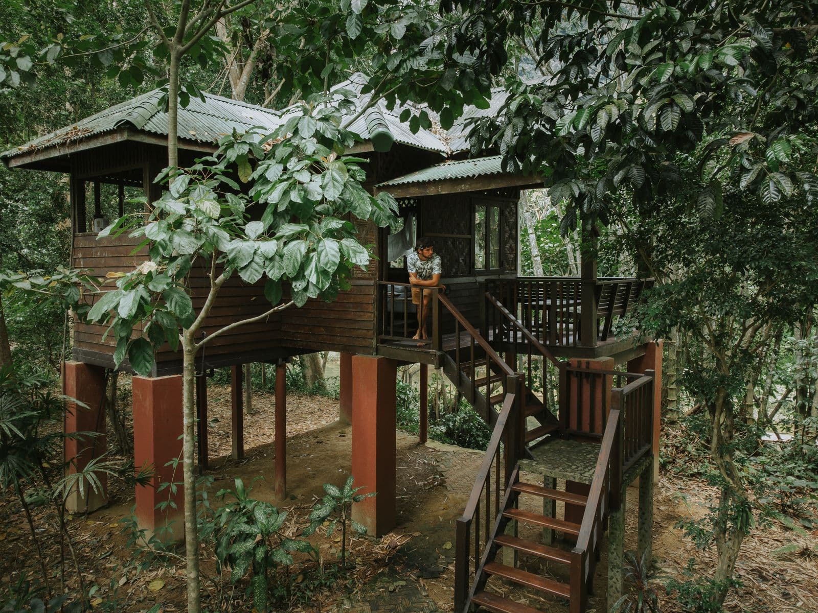 Mango treehouse exterior