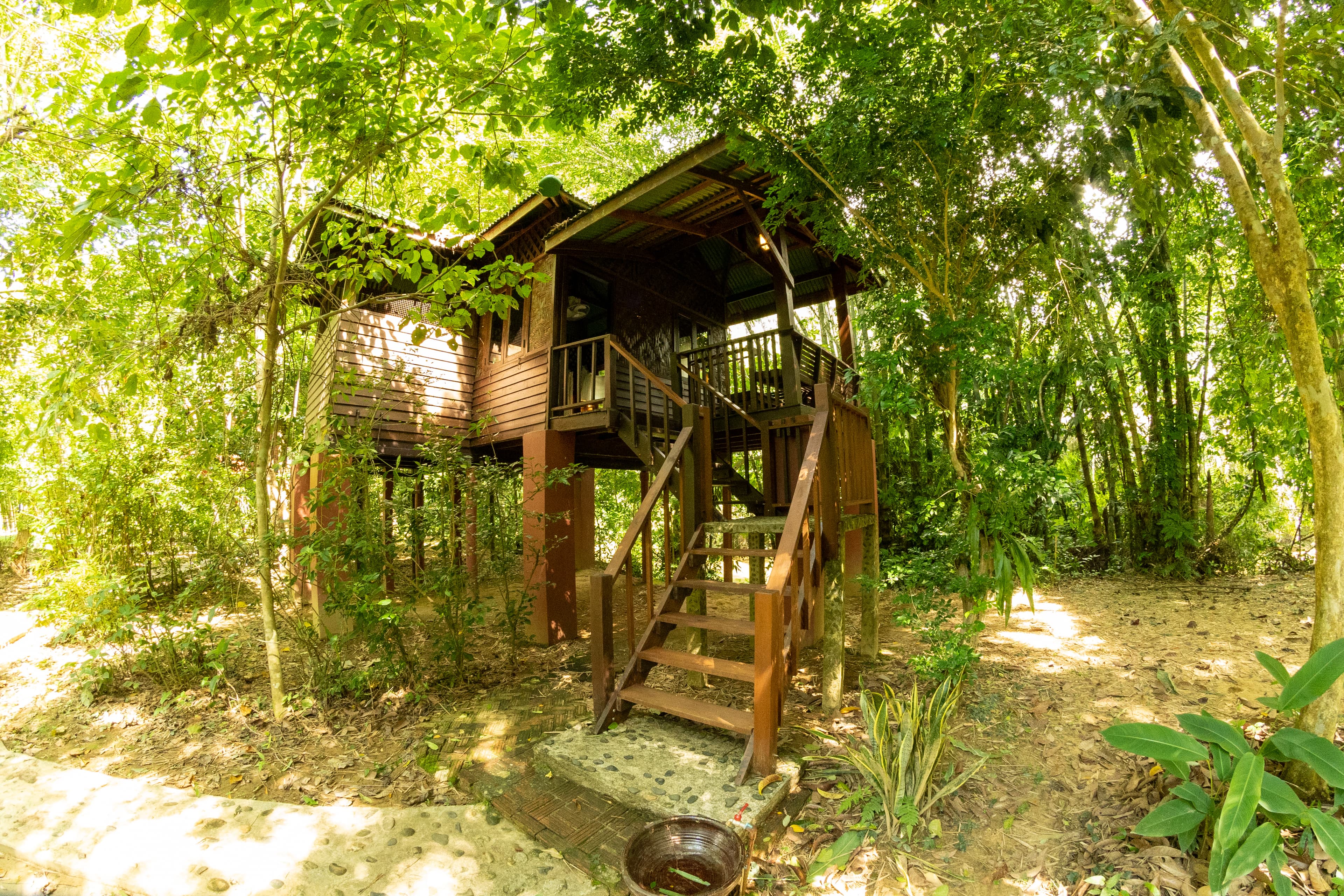 Mango treehouse exterior