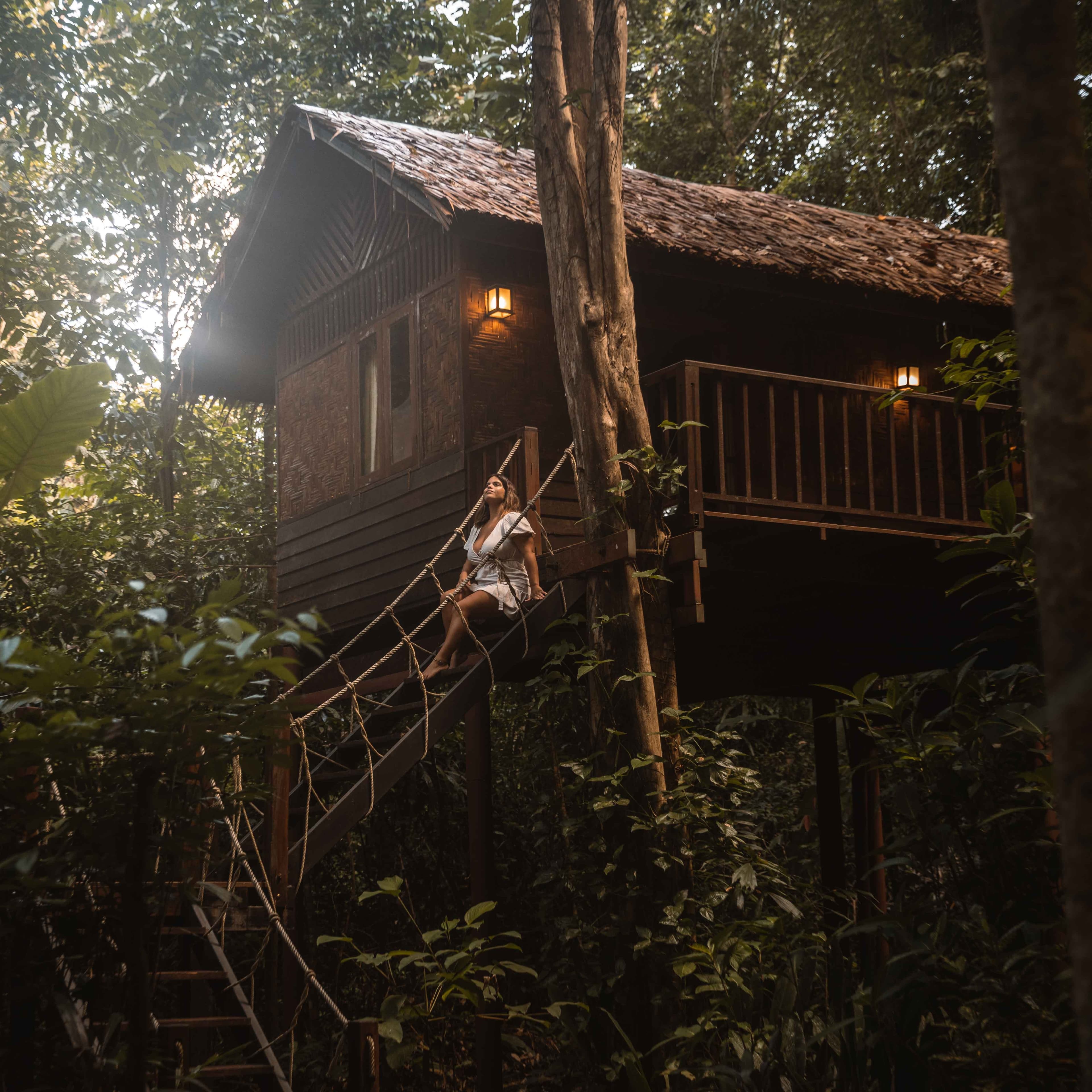Parkview treehouse exterior