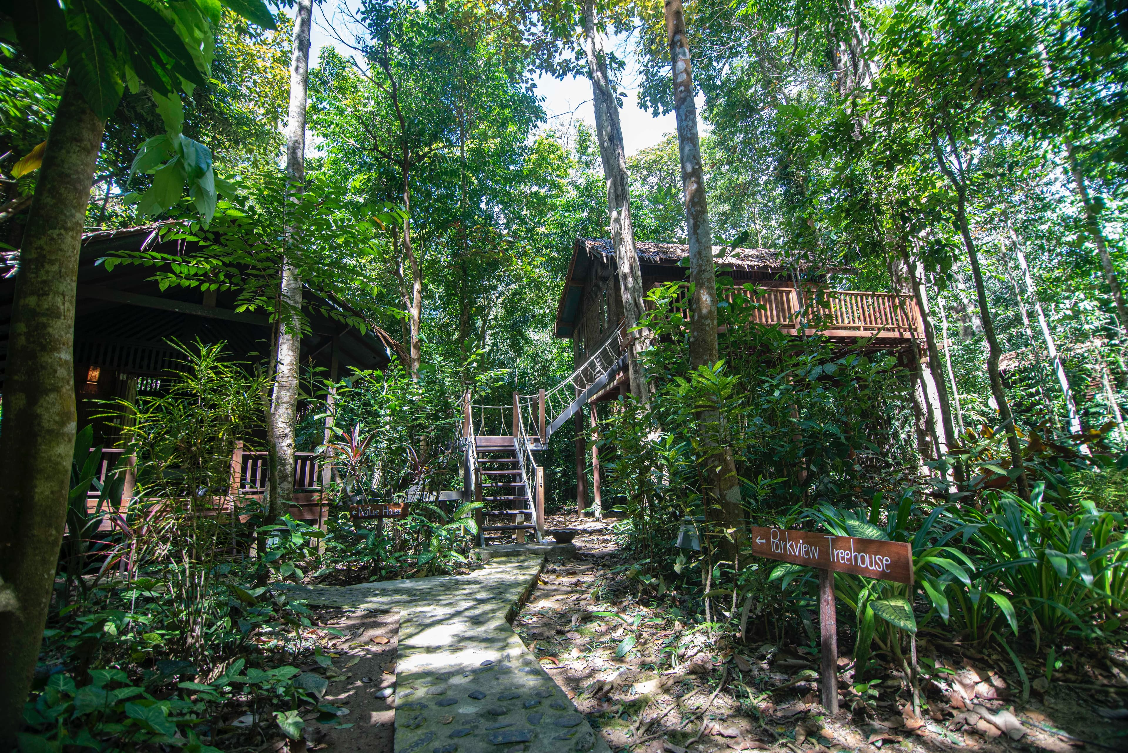 Parkview treehouse exterior