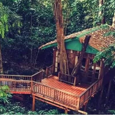 Sunshine treehouse exterior