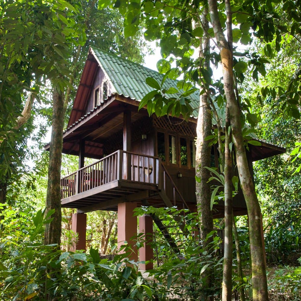 Thai House treehouse exterior