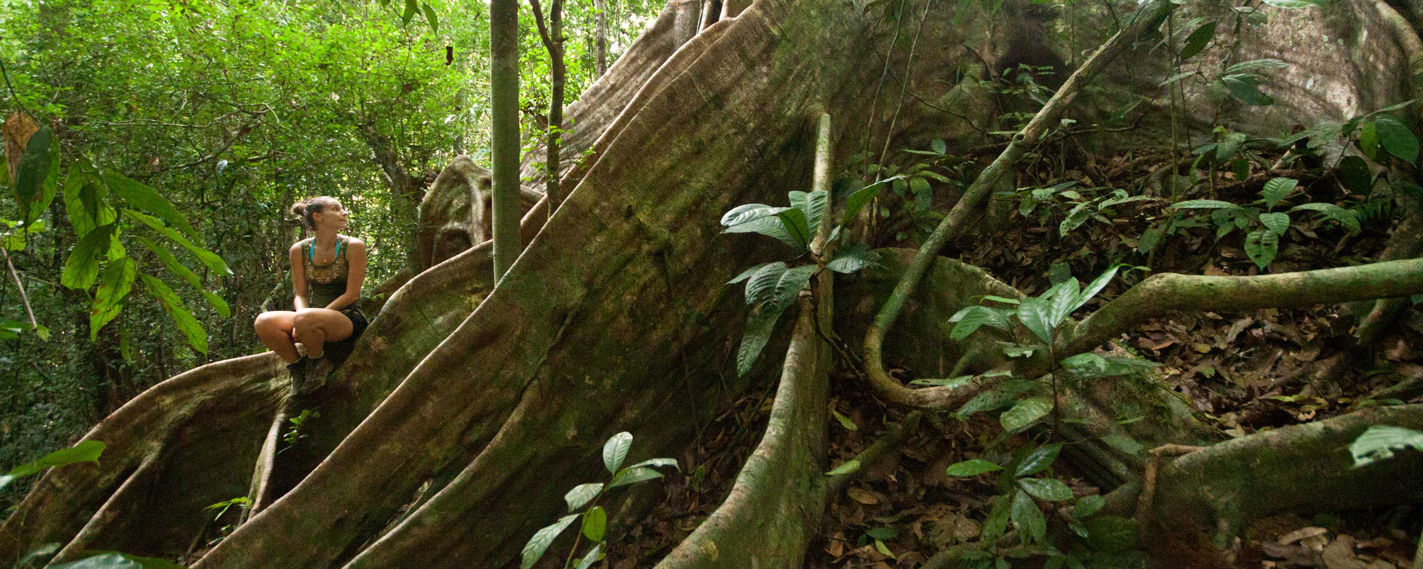 Sitting alone in the jungle