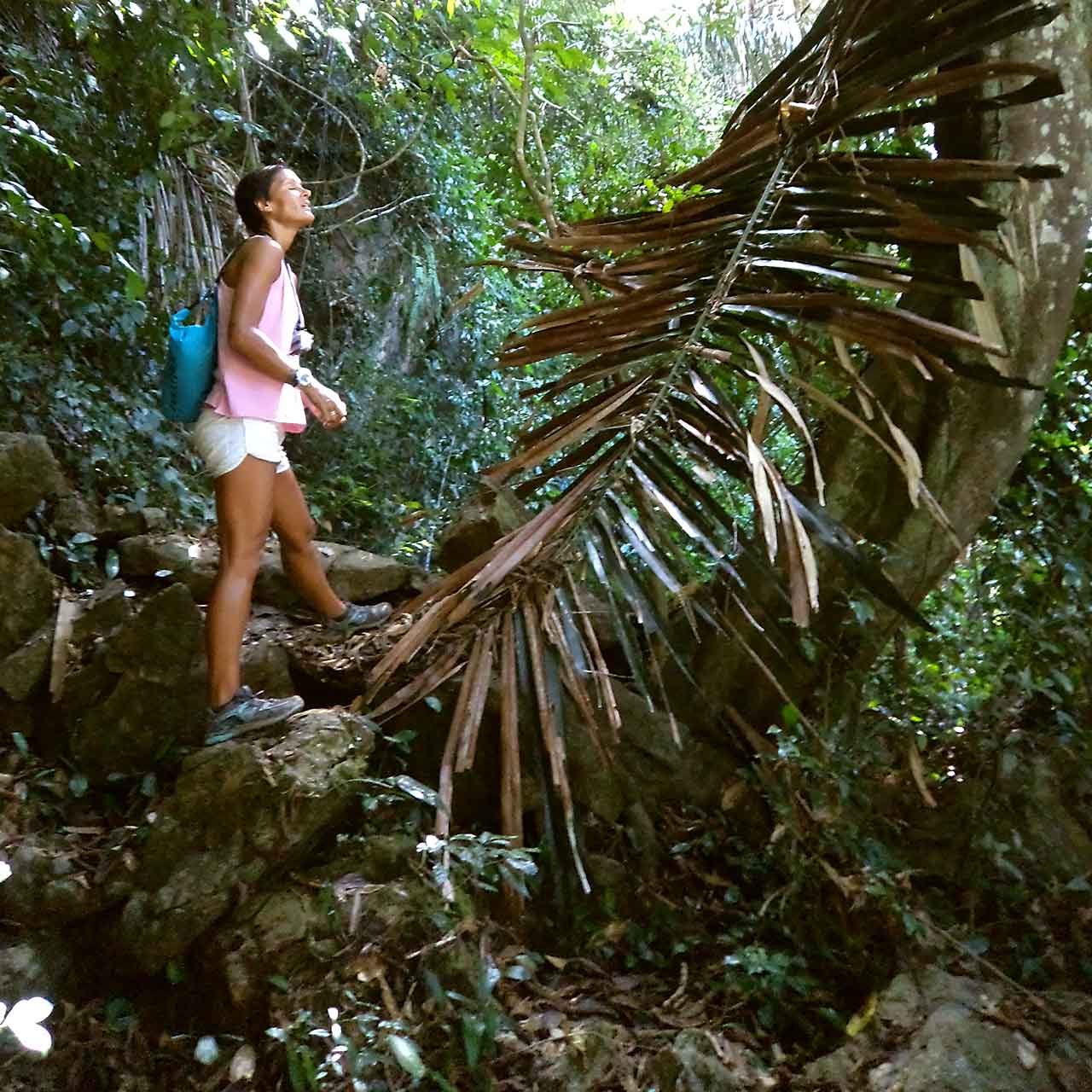 Hiking trails in the jungle