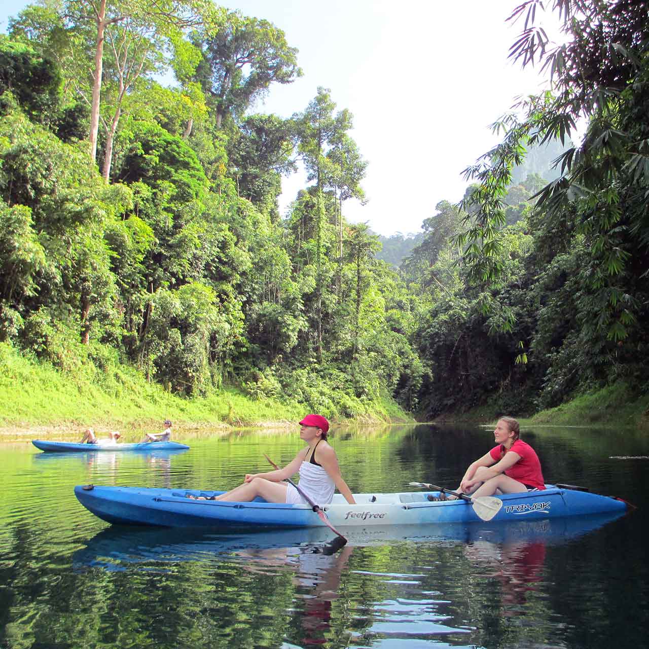 Canoeing down the river in Khao Sok