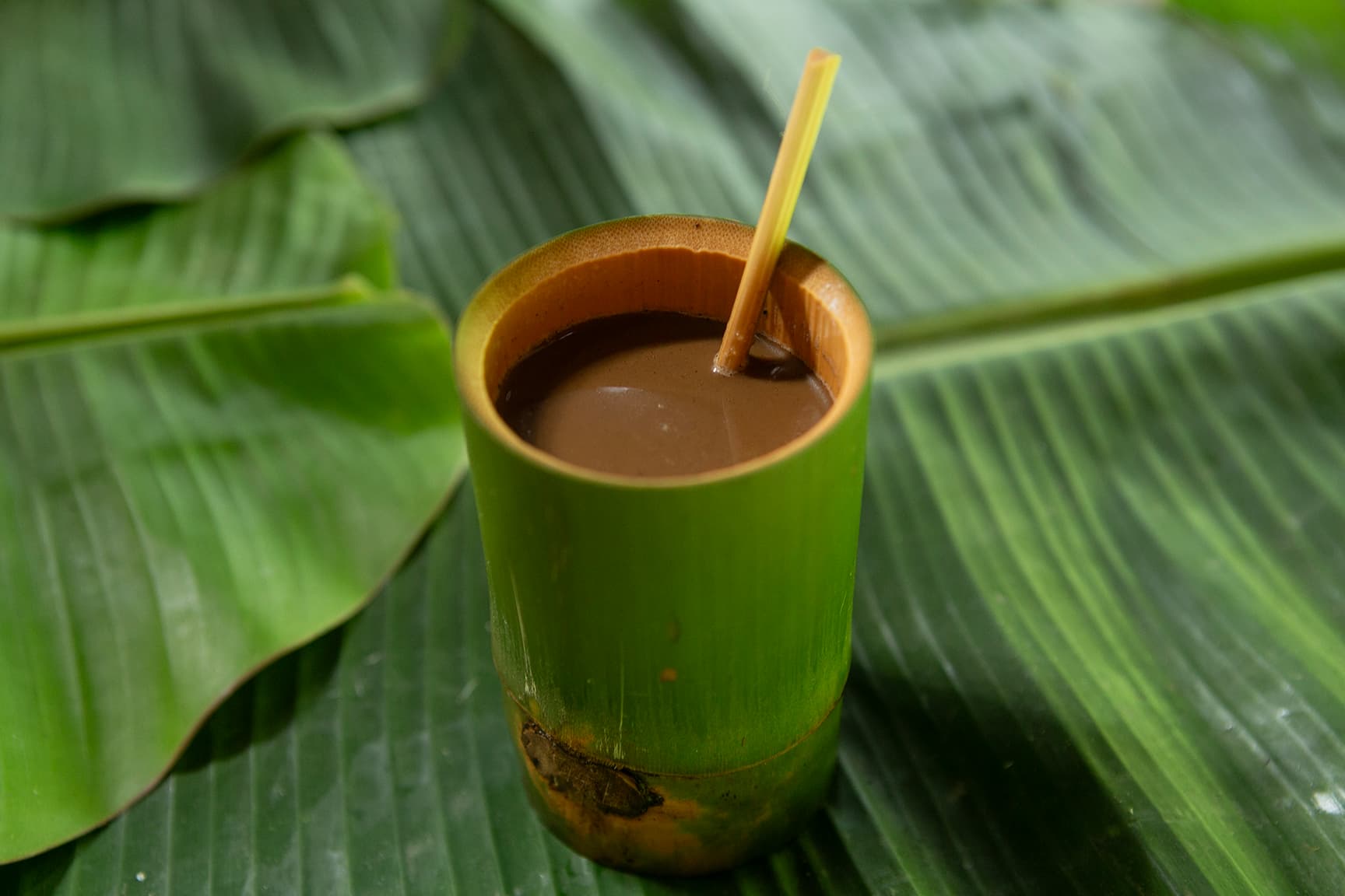 drinking coffee from bamboo cups