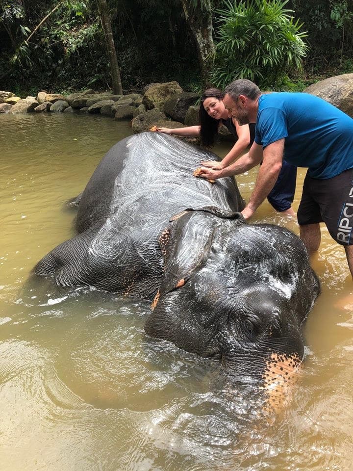 Washing an elephant in the river