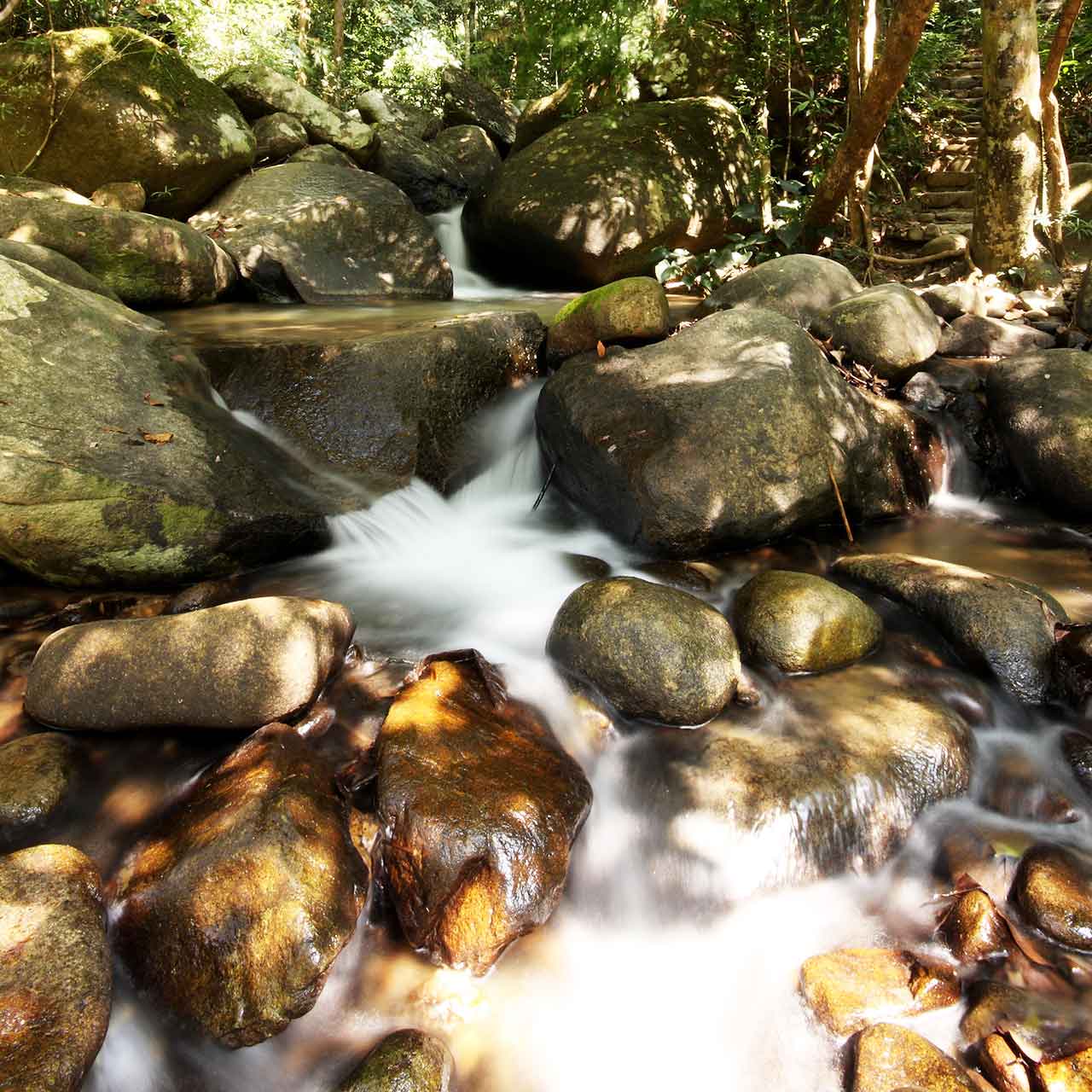 River in Khao Sok