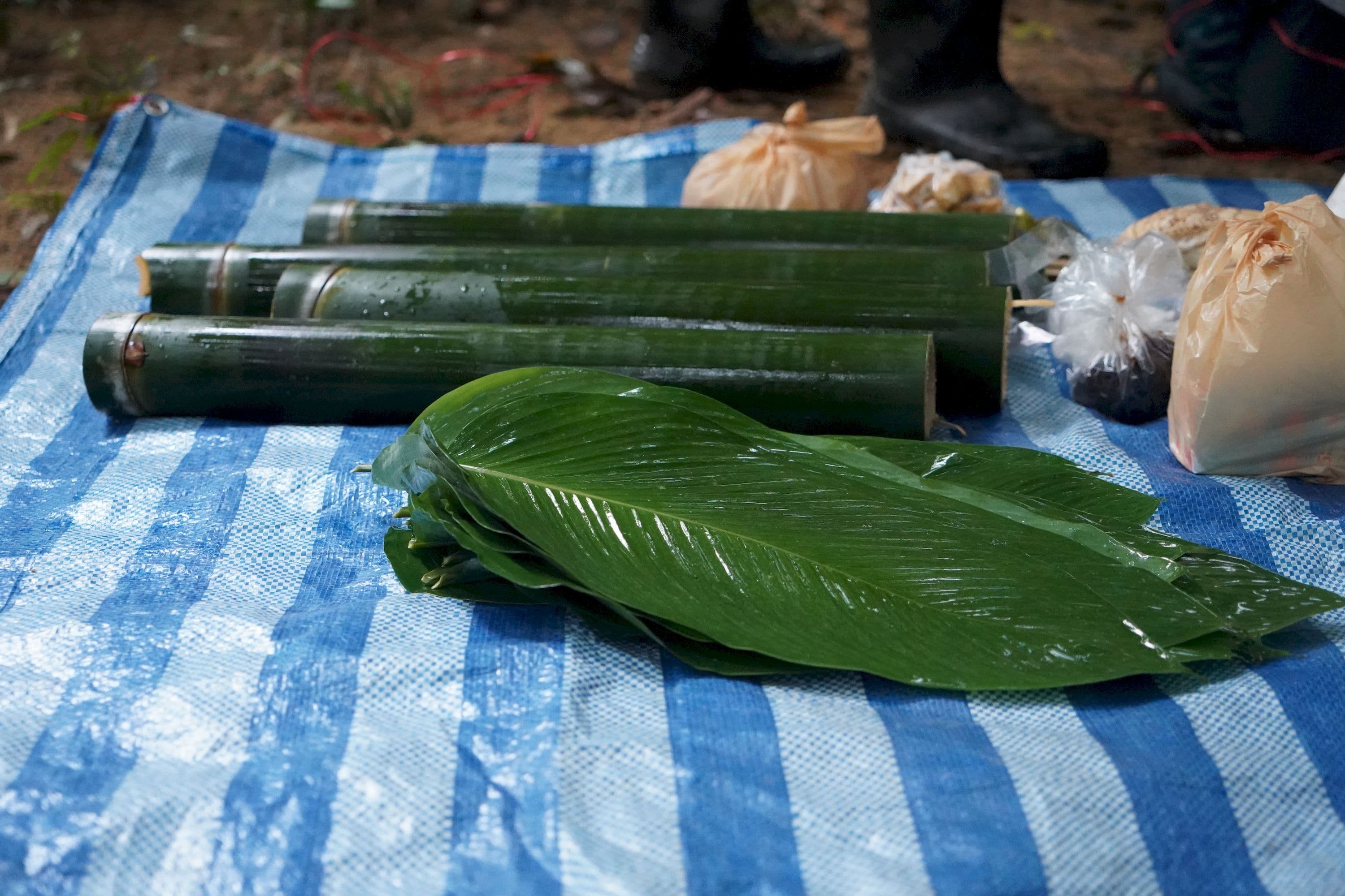 Prepparing bamboo for cooking