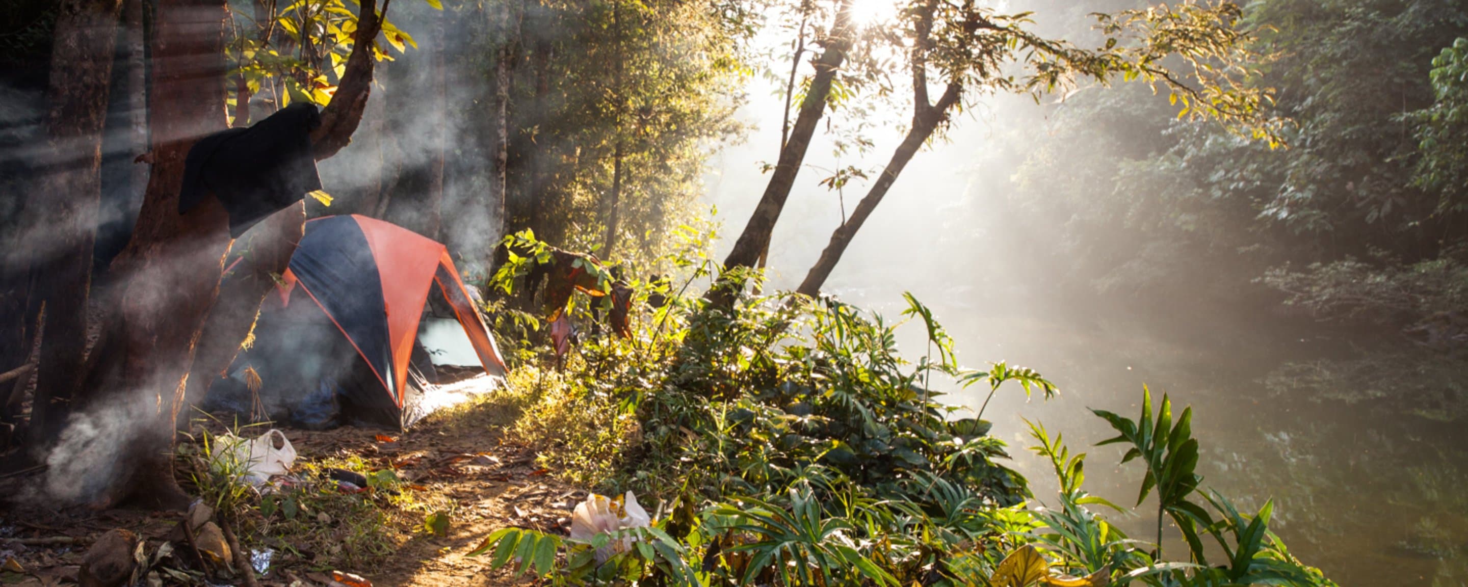 Bamboo cooking for camping lunch