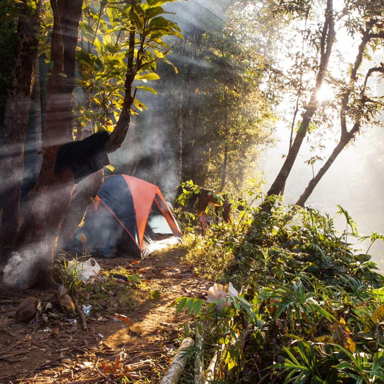 Bamboo cooking for camping lunch