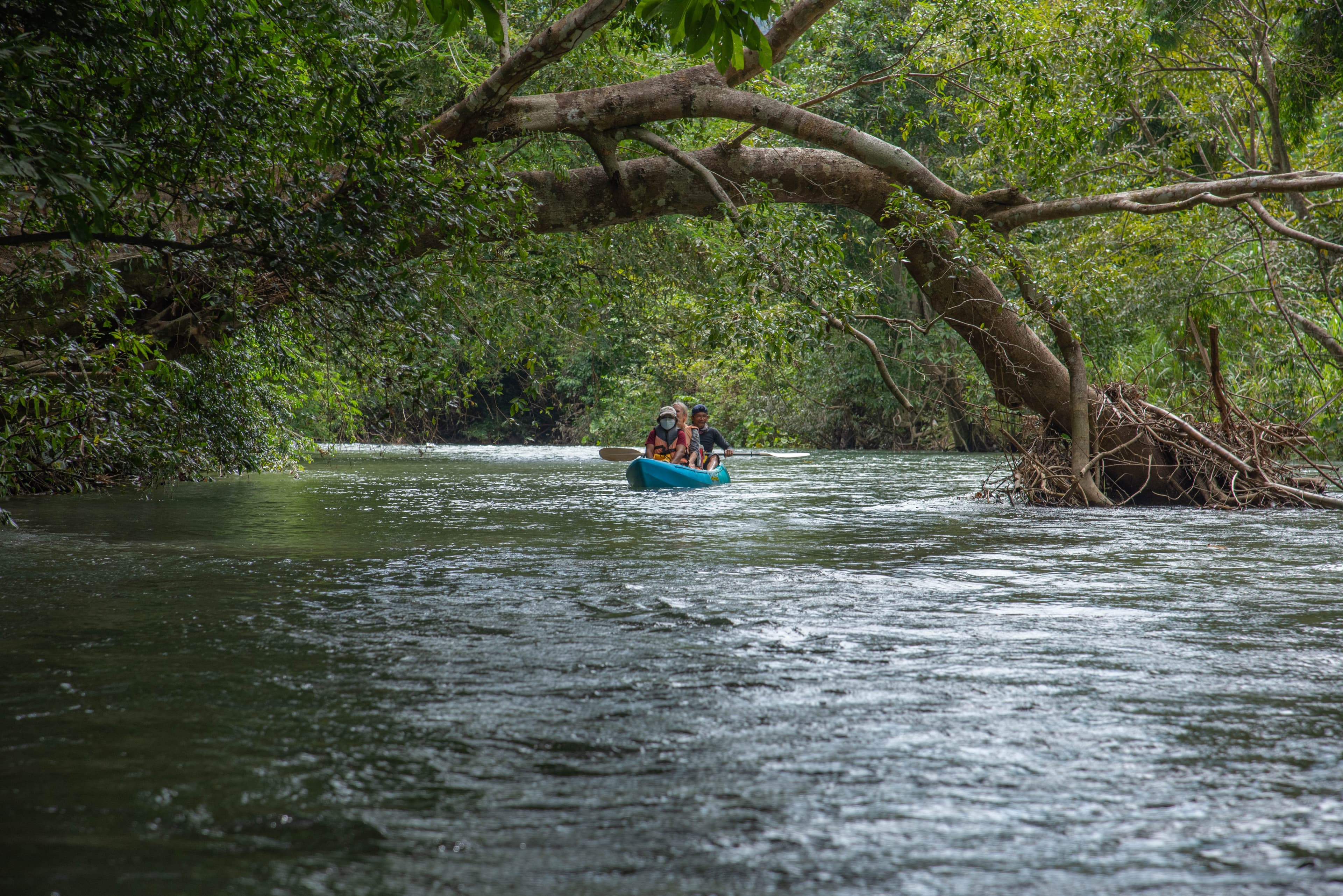 Canoeing down the river in Khao Sok