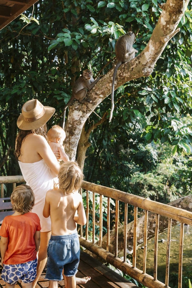 Family standing on treehouse balcony in the jungle