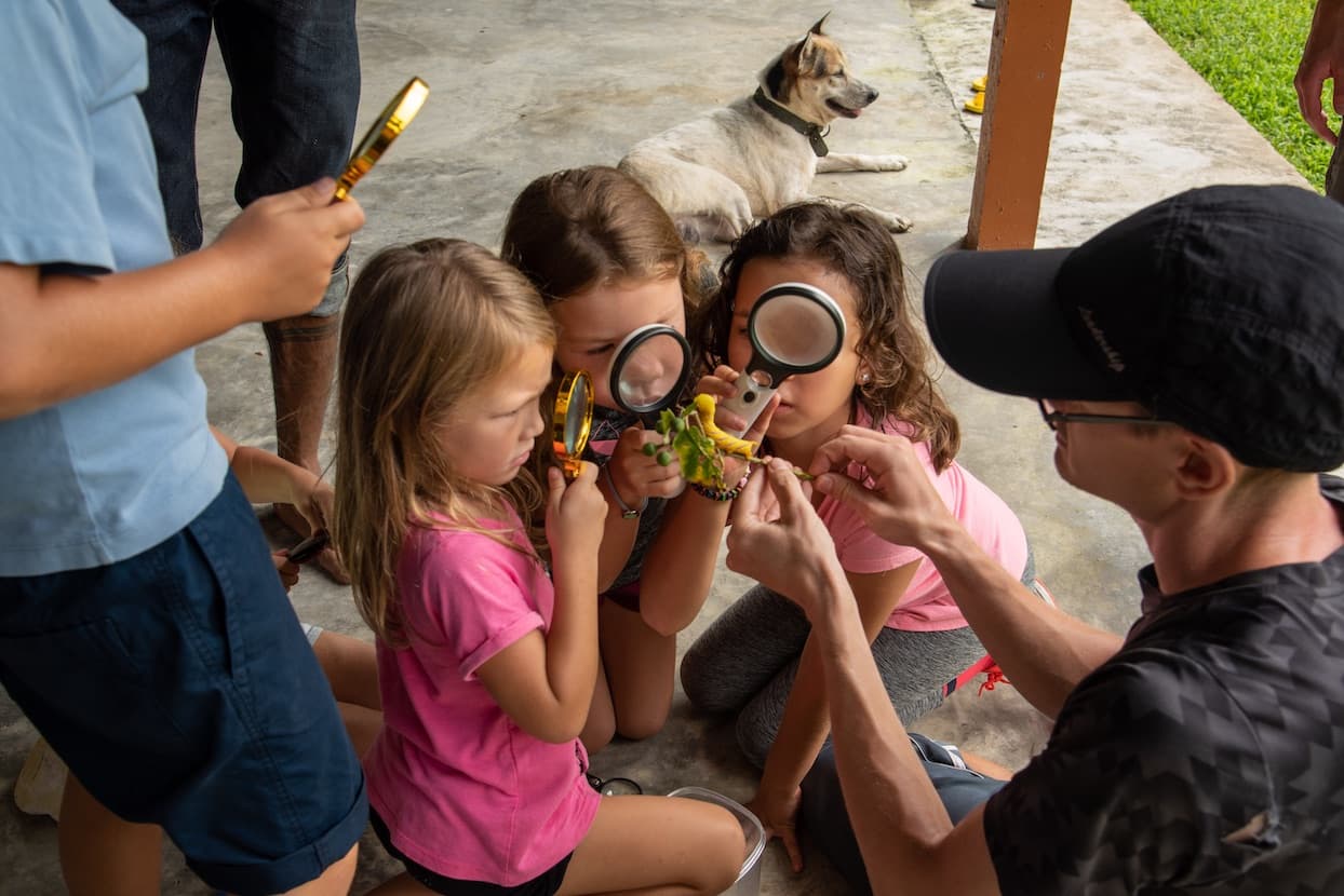Kids learning about flowers with magnifying glasses