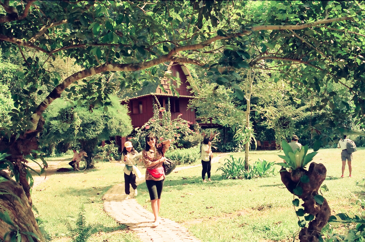 Old treehouse in khao sok