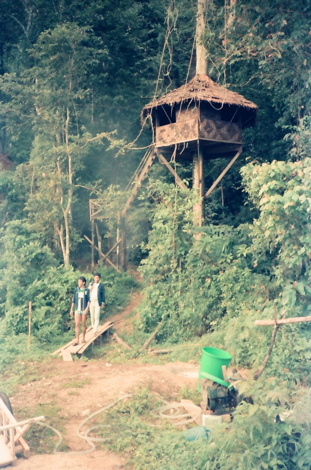 Old treehouse in khao sok